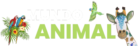 Mundo Animal