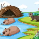 diferencia entre nutria y castor