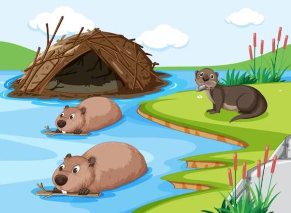 diferencia entre nutria y castor