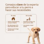 tips para enseñar a un perro a ir al baño